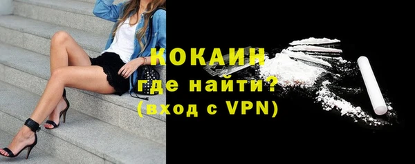 твердый Надым