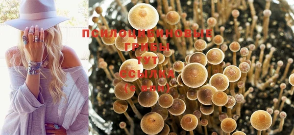 кокаин перу Алзамай