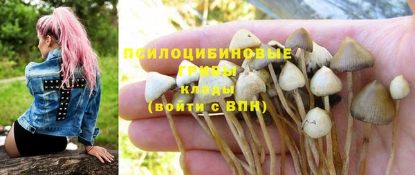 2c-b Алексеевка