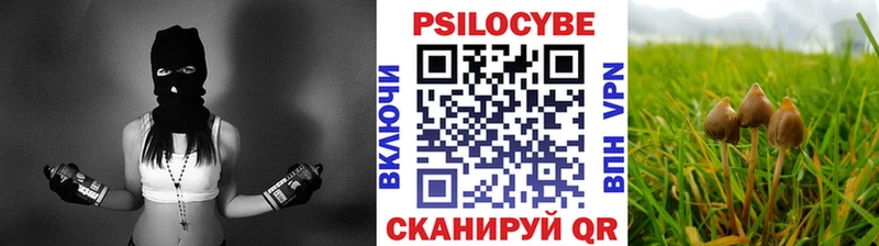 Галлюциногенные грибы Psilocybine cubensis  Феодосия 